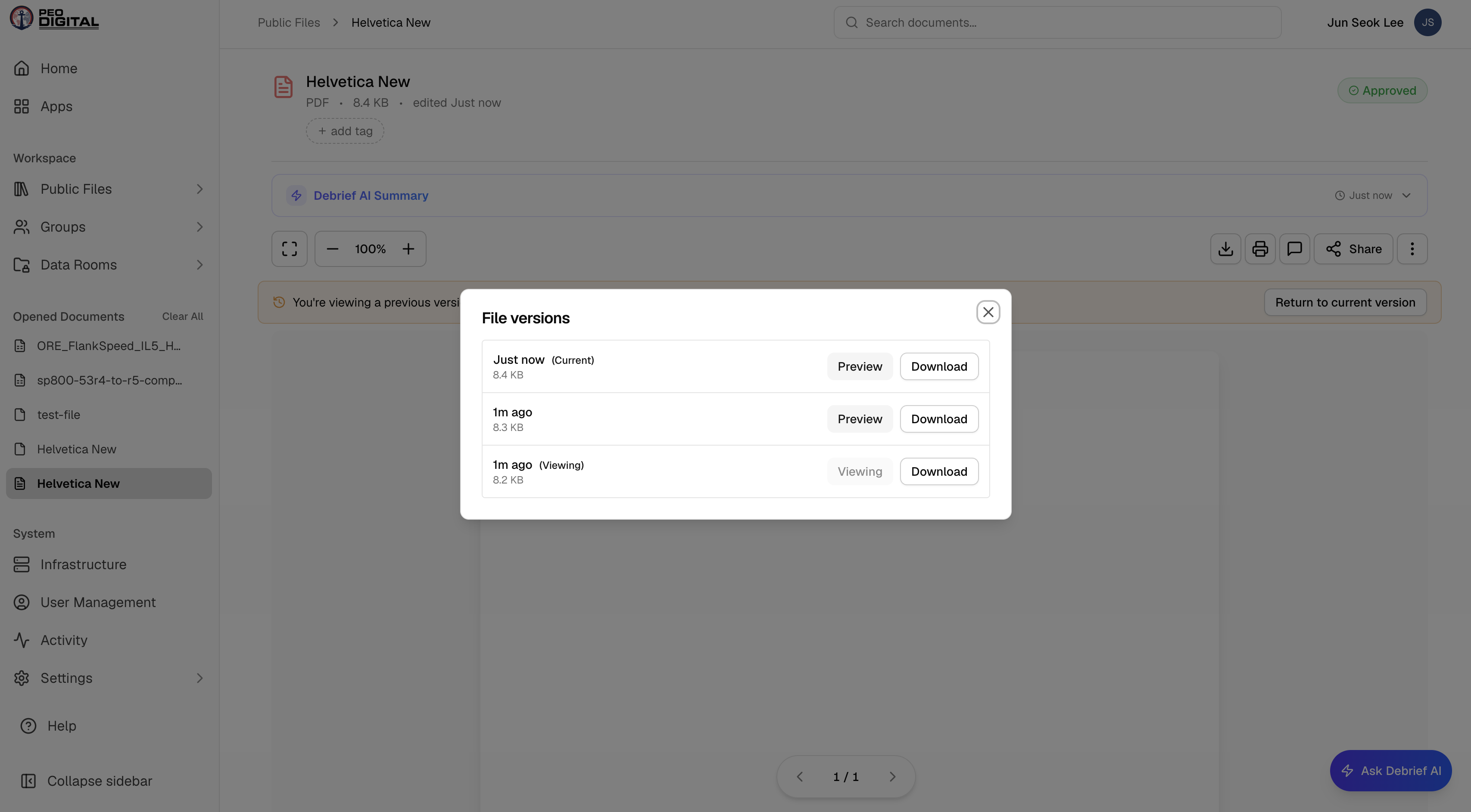 Document Version History